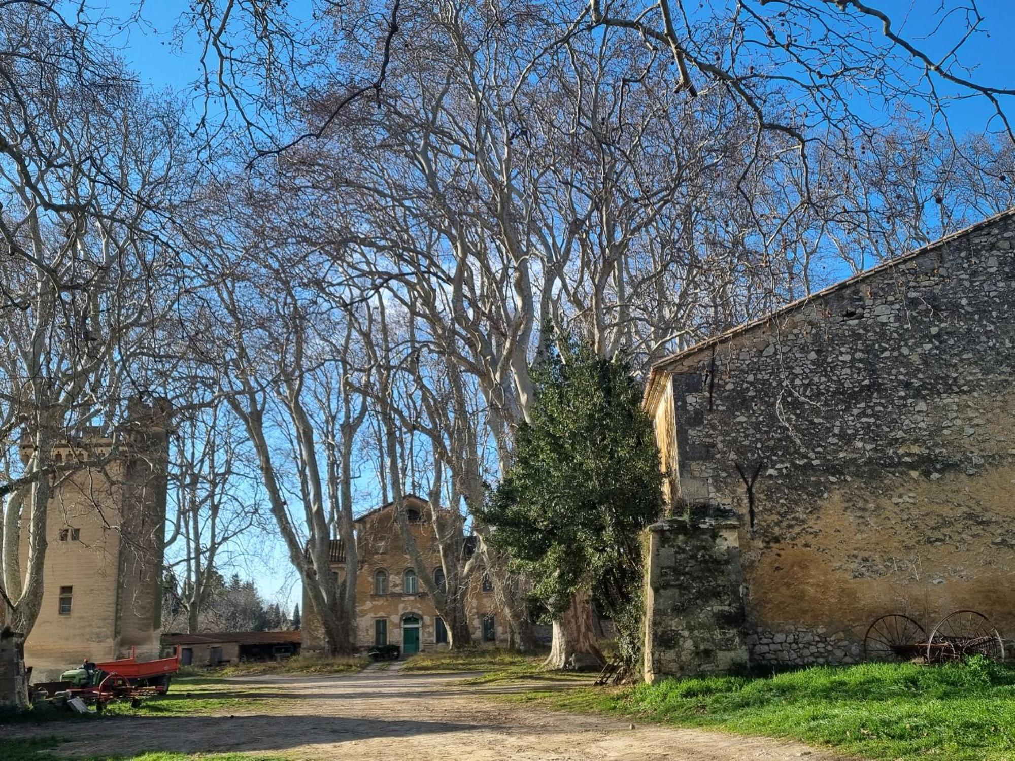 Les Garrigues De La Vallee Des Baux Paradou Kültér fotó