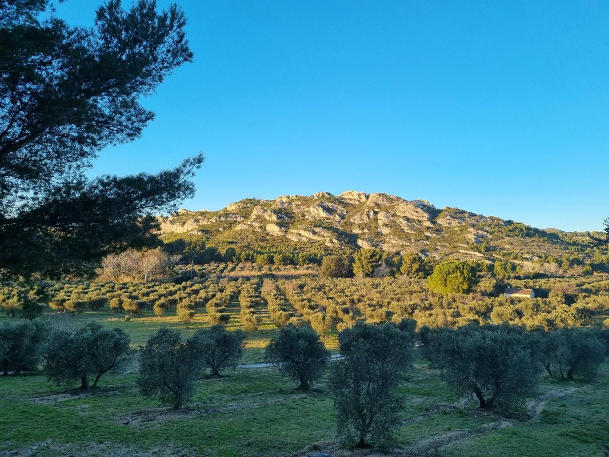 Les Garrigues De La Vallee Des Baux Paradou Kültér fotó