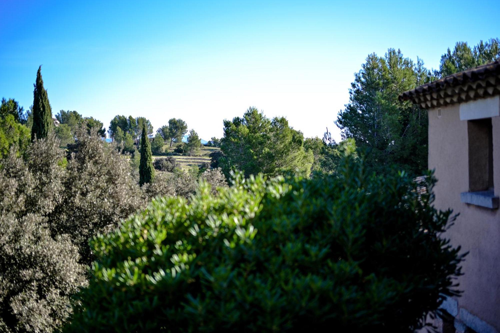 Les Garrigues De La Vallee Des Baux Paradou Kültér fotó