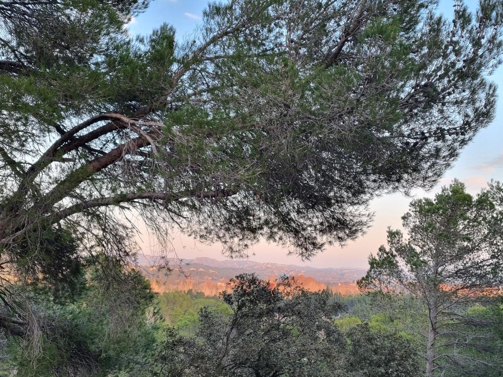 Les Garrigues De La Vallee Des Baux Paradou Kültér fotó