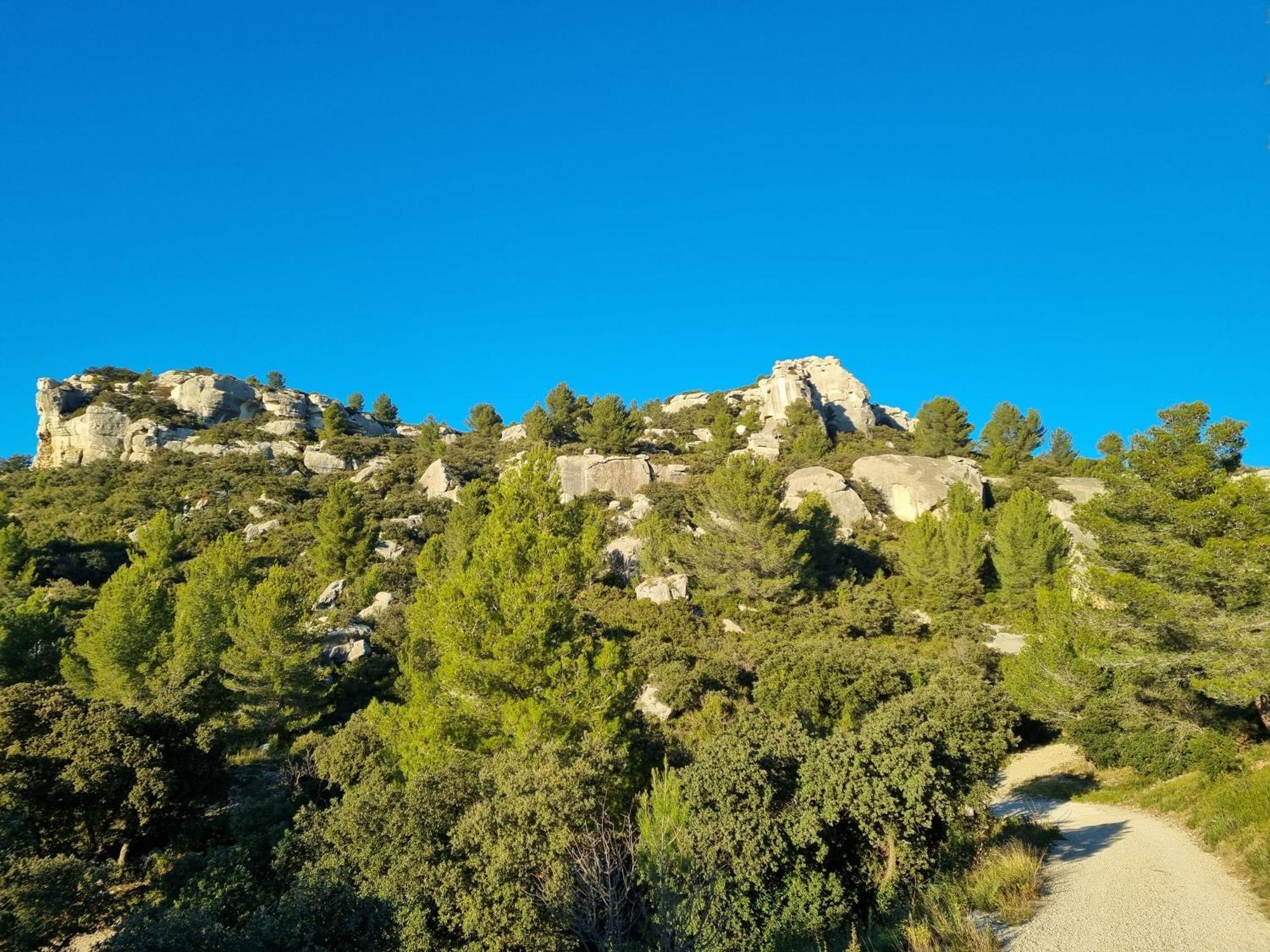 Les Garrigues De La Vallee Des Baux Paradou Kültér fotó